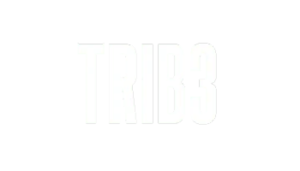 TRIB3