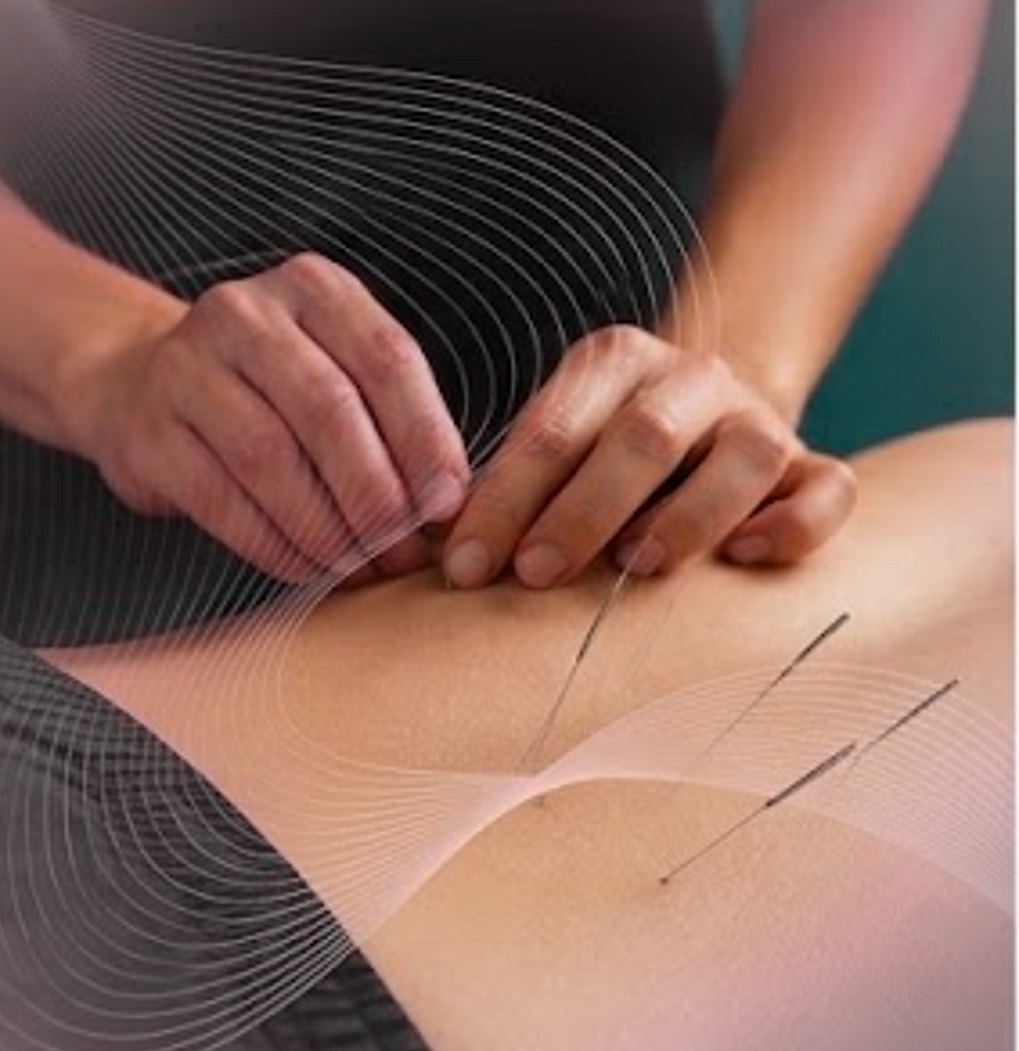 Specialist physio photo